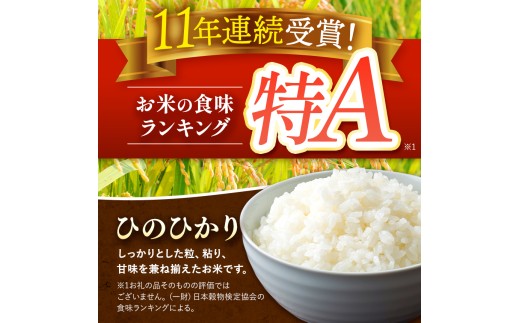 【 定期便 3回 】 R8年産 熊本県産 白米 ひのひかり 10kg