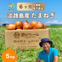 【ふるさと納税】【6回定期便】mama-yasai たまねぎ5kg