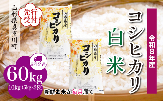 ＜令和8年産米先行受付＞ 真室川町産 こしひかり 【白米】 定期便 60kg （10kg×1ヶ月間隔で6回お届け）＜配送時期指定可＞