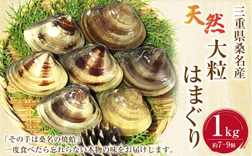 【指定日必須】【配送不可地域有】マルヨシ水産 桑名産大粒天然蛤 1kg（約7～9個）はまぐり ハマグリ 魚介 貝 魚貝 活はまぐり 焼きはまぐり 焼き蛤 その手は桑名の焼きはまぐり 特産 海鮮 網焼き 酒蒸し お吸い物 パエリア パスタ