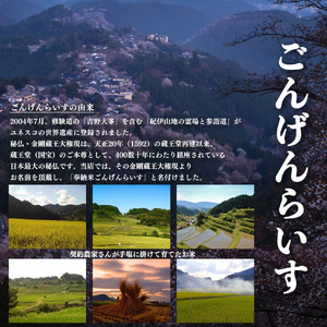 【新米予約】吉野大峯ごんげんらいす10㎏×2袋《水本米穀店》