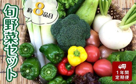 【限定50セット】あわ地区【定期便】　旬な野菜の詰め合わせセット（7~8品程度）毎月お届け（1年間）　AWA3000_x