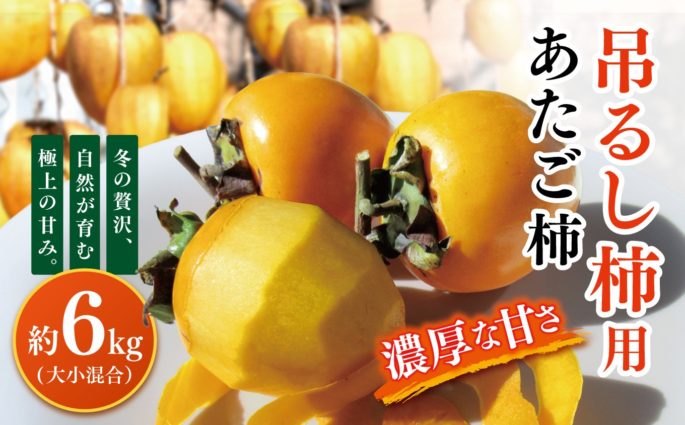 
                  G26 吊るし柿用あたご柿　約6㎏(大小混合）| あたご柿 渋柿 王様 干す 旨味 糖度 凝縮 冬季限定 特別な味わい 上品 お茶漬け ワイン チーズ 真田園 奈良県 大淀町
                