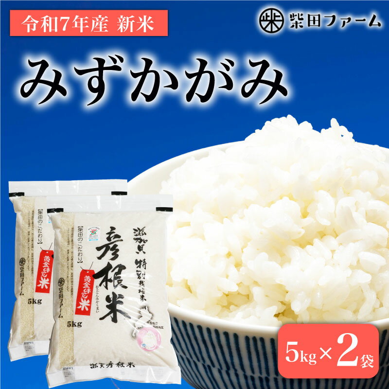 【ふるさと納税】 先行予約 令和7年産 新米 環境こだわり栽培 みずかがみ 10kg 白米 米 コメ お米 ご飯 ごはん 10kg 10 5kg 2袋 令和7年 7年 10月 順次発送 滋賀 彦根