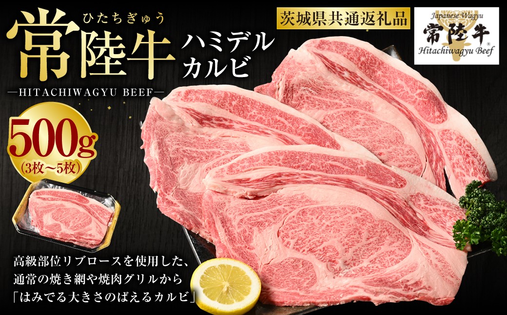 
【常陸牛】ハミデルカルビ500g（3～5枚）

