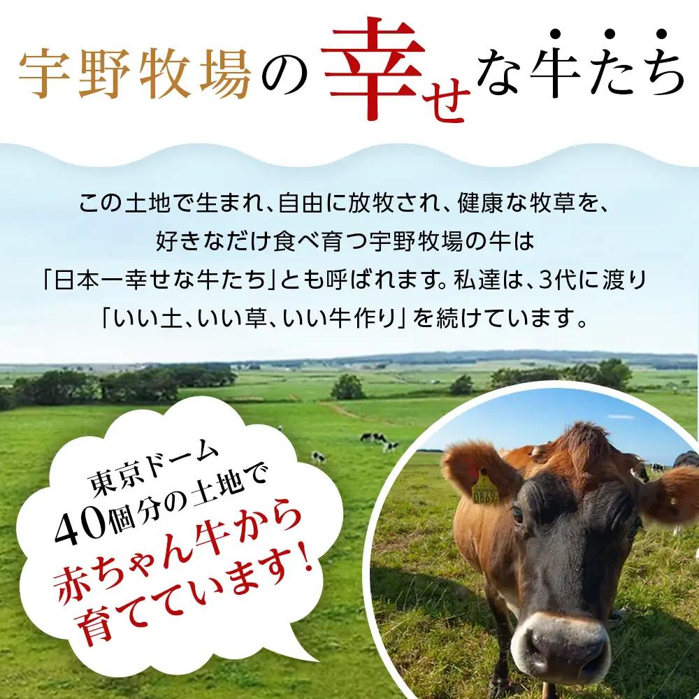 【定期便5カ月　オーガニックプレーンヨーグルト（無糖）6個セット
