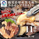 【ふるさと納税】鹿児島県産黒毛和牛 ホルモン アラカルトセット 食べ比べ11部位 焼肉屋店主こだわり A3-203【配送不可地域：離島】【1166394】