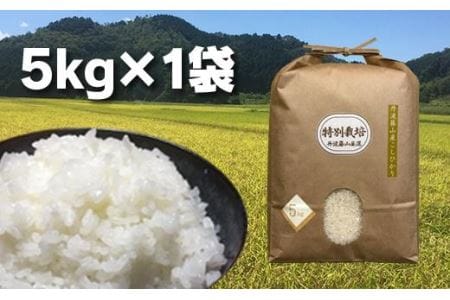 丹波篠山の地醤油漬、佃煮セット　特別栽培米5kgと実山椒・山蕗 AD27