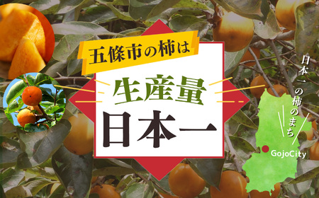 富有柿 7.0kg箱　大玉サイズ（22個～24個） ※着日指定不可 ※2025年11月上旬頃～12月上旬頃に順次発送予定 | 果物 柿 大容量