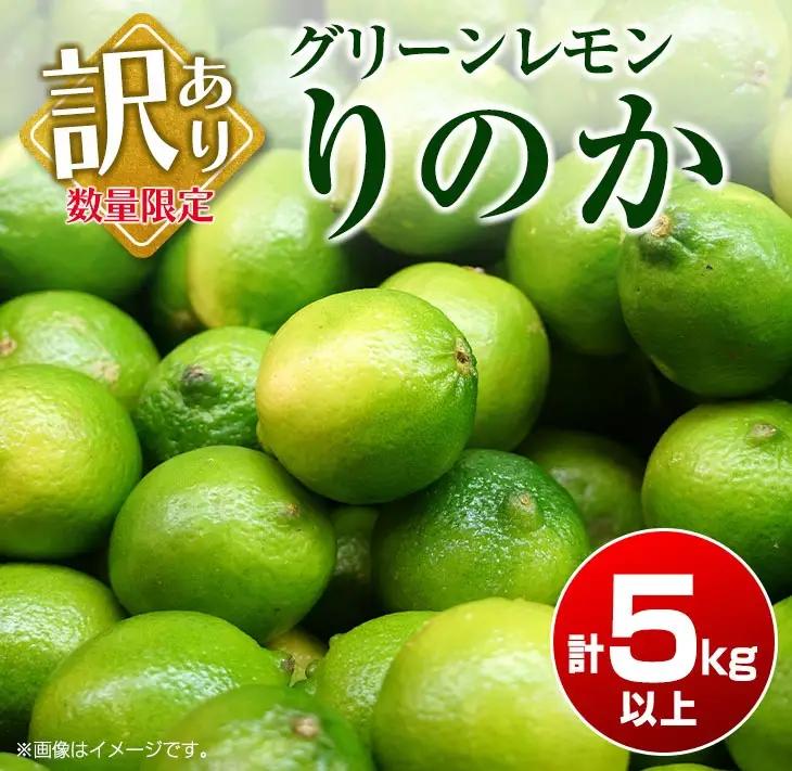 訳あり 数量限定 グリーンレモン りのか 計5kg以上_A88-23