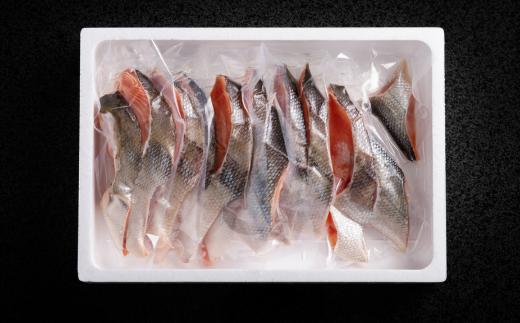 オホーツク秋鮭半身親子セット（鮭2切パック半身、いくら醤油漬け500g）（北海道産） ABB019