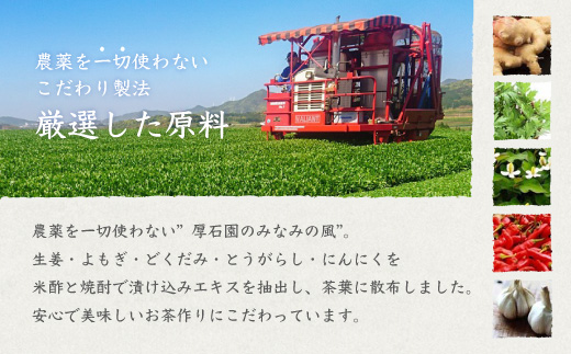 水出し煎茶ティーバッグ 高級深蒸し茶 ギフト A3-99【配送不可地域：離島】【1166618】