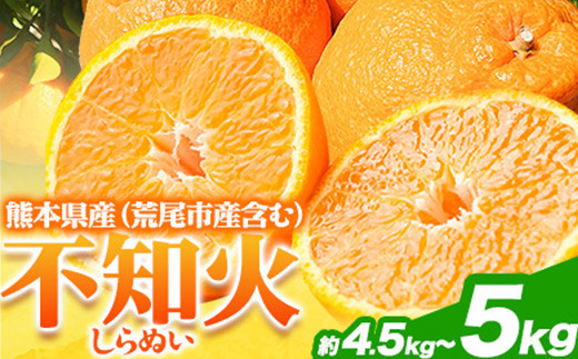 不知火 約4.5kg～5kg フレッシュフーズ 《2月下旬-4月下旬頃出荷》熊本県産(荒尾市産含む) 柑橘 フルーツ フレッシュフーズ 不知火 果物 デコポン と同品種 送料無料 果物 シラヌヒ シラヌイ