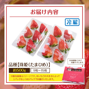 化粧箱入りいちご【珠姫】 酸味が少なくやさしい甘み 珠姫 いちご 2パック 9~15粒 化粧箱 卵型 粒が大きい 生駒いちご園 果物 フルーツ デザート 贈り物 お取り寄せ お取り寄せフルーツ 奈良県