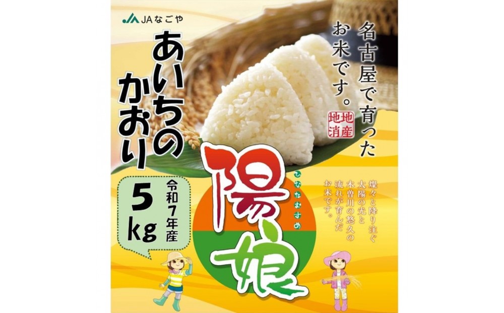 
                  陽娘　あいちのかおり 5kg
                