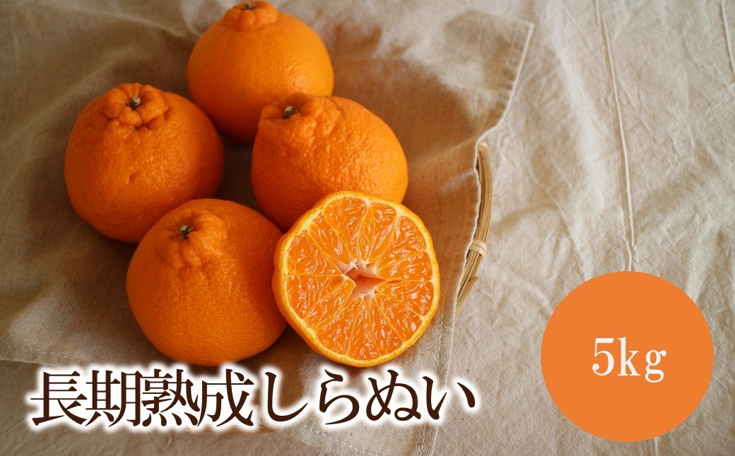 
                  長期熟成しらぬい5kg＜先行予約2027年5月発送開始分＞
                