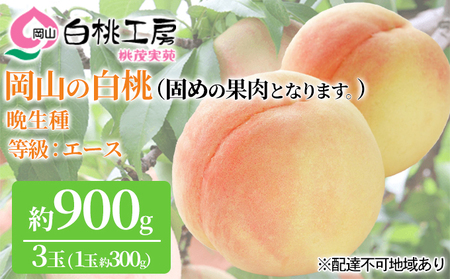 固めの 桃 先行予約 白桃 晩生種 3玉 合計約900g （1玉約300g） もも モモ 果物 桃