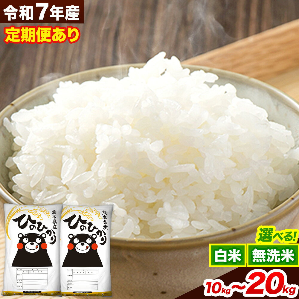 【ふるさと納税】令和7年産 選べる 無洗米 白米 定期便 内容量 ひのひかり 5kg 10kg 20kg《出荷時期をお選びください》 熊本県産 精米 ひの 送料無料 熊本県 山江村 SDGs むせんまい 米 コメ こめ 国産 ランキング 楽天スーパーセール お買い物マラソン