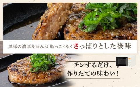 BSR-331 鹿児島県産黒豚ステーキハンバーグ10個入り