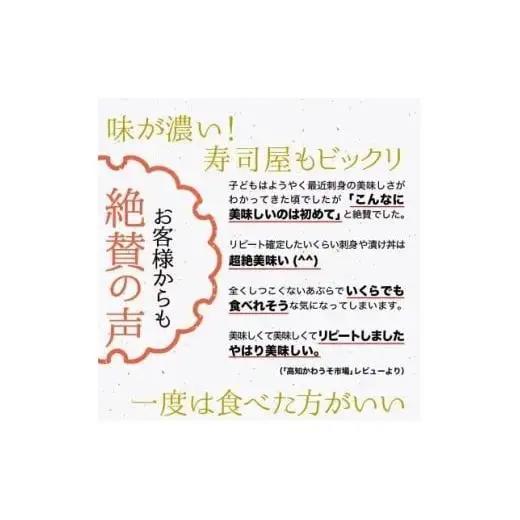【 カンパチ 】 カンパチ1節