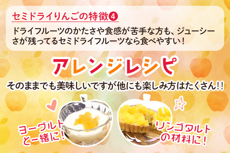 セミドライりんご「太陽のフジミツ」100g×5袋