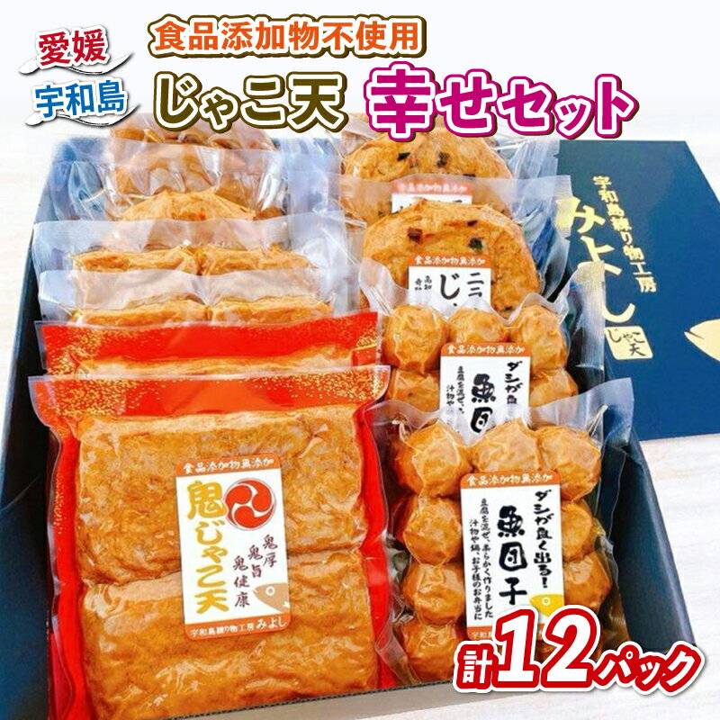 【ふるさと納税】 じゃこ天 幸せセット 宇和島練り物工房みよし じゃこ天 魚団子 野菜天 ニラ生姜天 すり身 練り物 惣菜 出汁 だし 酒 おつまみ 肴 魚肉 水産 加工品 特産品 郷土料理 国産 愛媛 宇和島 C022-061003