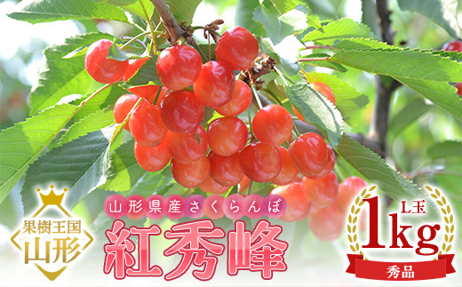 【2027年産 先行予約】山形県産さくらんぼ 紅秀峰 秀品 L玉 1kg バラ詰め ギフト箱入り FSY-2201