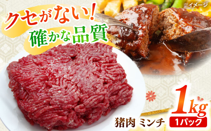 猪肉 ミンチ 500g×2パック 雲仙いのしし / ひき肉 肉 イノシシ ジビエ いのしし ハンバーグ / 南島原市 / もりのめぐみ [SDB012]
