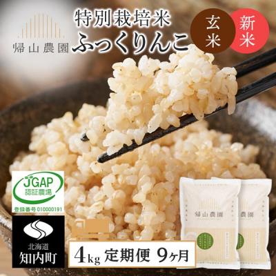 ふるさと納税 知内町 【令和8年産新米先行受付】【9カ月定期便】特別栽培米産地直送玄米ふっくりんこ2kg×2個 箱入
