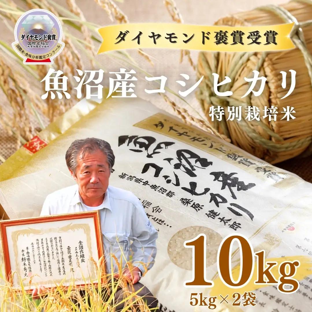 令和8年産 魚沼産コシヒカリ ダイヤモンド褒賞受賞 特別栽培米 10kg(5キロ×2袋) 新潟県 |津南町 魚沼