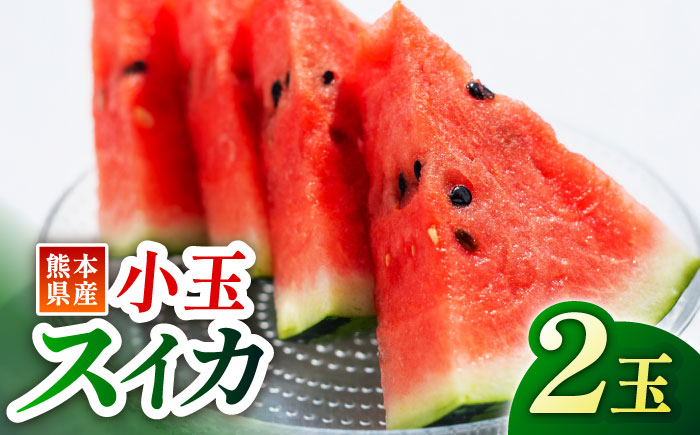 【先行予約】小玉 スイカ  2玉入り【くまふる】 [ZBG023]
