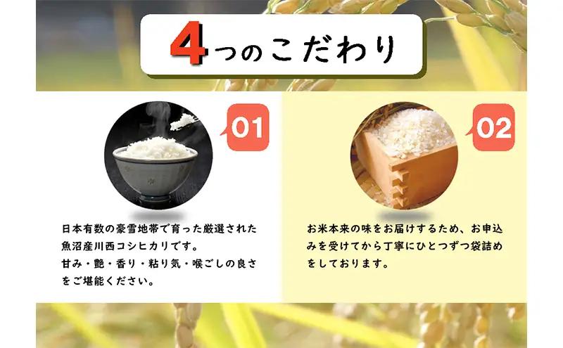 コシヒカリ 定期便 3ヶ月 魚沼産川西 2kg コシヒカリ