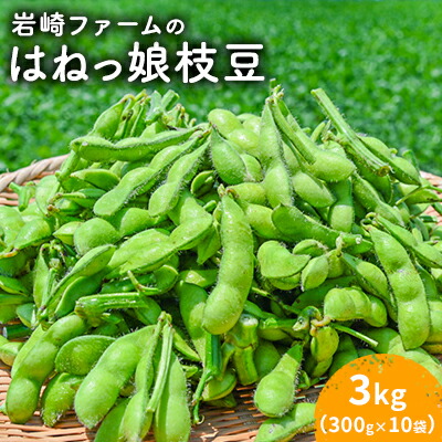 はねっ娘枝豆 3kg（300g×10袋）【有限会社岩崎ファーム】 [AKCZ002]