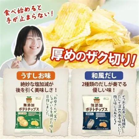 純国産 ポテトチップス うすしお味 和風だし 各12袋【1721196】