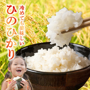 那須自然農園　【先行予約】R8年産米　有機JAS認証米「ひのひかり」白米5kg _U15-0551_1_1