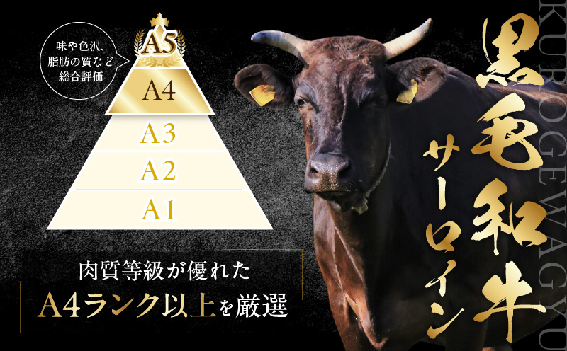 【A4ランク以上】黒毛和牛 サーロイン 切り落とし 1kg【250g×4P 小分け 国産 味付き 牛肉 訳あり サイズ不揃い】 CFX0073