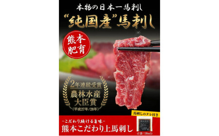 馬刺し 上赤身 ブロック 国産 熊本肥育 冷凍 生食用 たれ付き(10ml×9袋) 100g×9セット 肉 期間限定 絶品 牛肉よりヘルシー 馬肉 予約 平成27年28年 農林水産大臣賞受賞 熊本県山