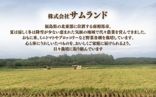 令和8年産 先行予約 にじのきらめき 白米 選べる数量・回数 5kg - 45kg / 1回 - 9回 / 単品・定期便