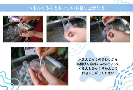 【冷凍】大垣名物　水まんじゅう　15個入り【季節限定 10月25日まで受付】