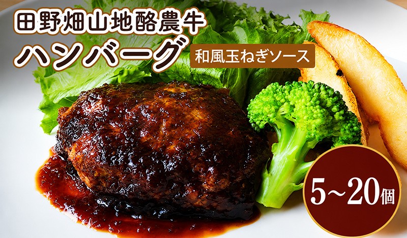 
                  【選べる容量 5～20個】 田野畑山地酪農牛ハンバーグ 和風玉ねぎソース 5個 牛肉 肉 牛 惣菜 おかず お弁当 冷凍 小分け 個包装 湯煎 温めるだけ 簡単調理 レトルト 詰め合わせ ブランド牛 希少 厳選素材 旨味 ジューシー ハンバーグ 肉汁 国産 岩手県 盛岡市 東北 岩手 盛岡 有限会社 秀吉 hideyoshi001P
                