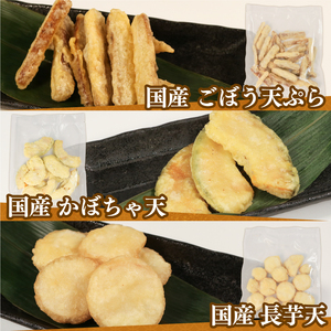 【6ヶ月連続定期便】 冷凍食品5種類セット (いか塩天ぷら いか唐揚げ ごぼう天ぷら かぼちゃ天ぷら 長芋天ぷら 各180g×2袋 計1.8kg)