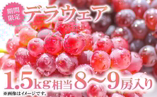 益田産デラウェア【約8～9房程度 1.5kg相当 先行予約 数量限定 期間限定 季節限定 早期予約 果物 くだもの フルーツ 葡萄 ぶどう ブドウ デラウエア 】