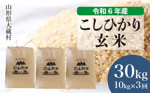 ＜令和6年産米＞ 令和7年6月下旬より配送開始 コシヒカリ【玄米】30kg 定期便 (10kg×3回) 大蔵村