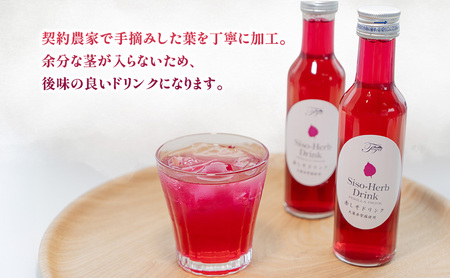 赤しそドリンク ストレート 北海道産 赤しそドリンク【180ml×24本】