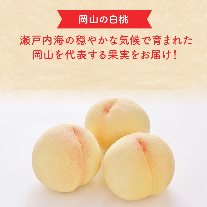2026年 早期受付 岡山県産 清水白桃 (約2.2kg)5～7玉 桃 白桃 も
