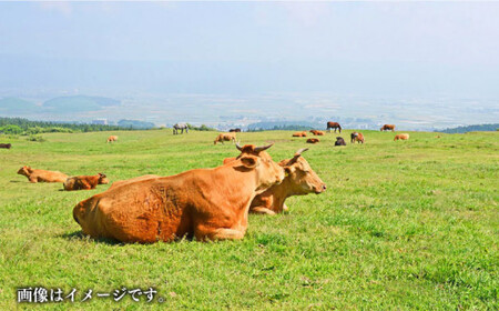 あか牛 ロースブロック 約2kg【くまふる合志市】[AYBC007]