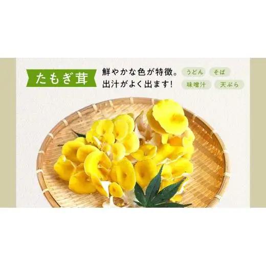 【 3ヶ月連続定期便 】きのこ の 詰め合わせ Lサイズ ( 約2kg ) （茨城県共通返礼品：城里町）