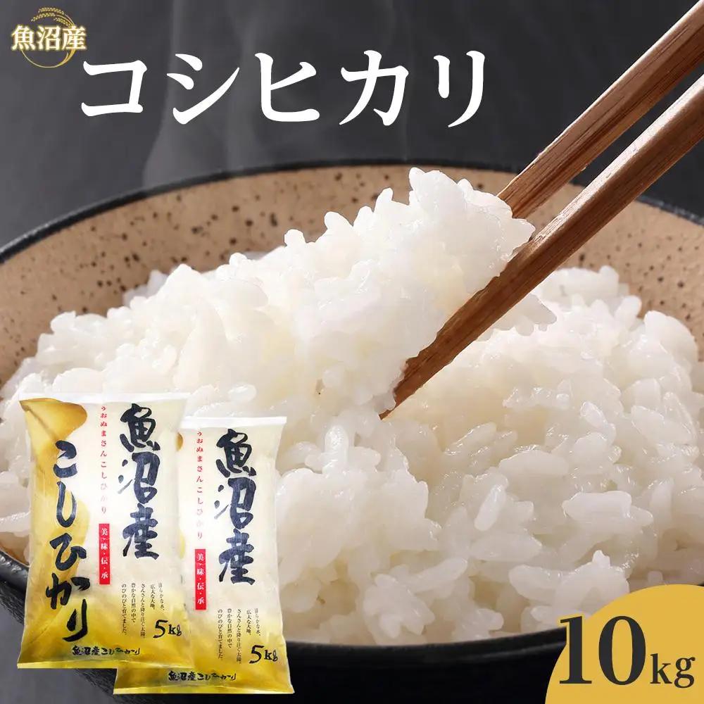 令和７年産魚沼産コシヒカリ　10kg　ご入金確認後～7日程で発送致します。｜新潟県　魚沼　こしひかり　令和7年産