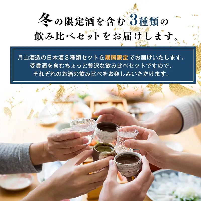 日本酒 銀嶺月山 冬の3種 飲み比べ 生原酒 純米吟醸 セット 720ml×3本 山形 日本酒 出羽燦々【2026年12月頃から2027年3月頃に順次発送】　018-E-GS016