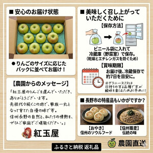 際立つ酸味！ 長野市産 グラニースミス 約4.5kg （お菓子作り・酸っぱいりんご好き専用） 希少品種 林檎 クッキングアップル
